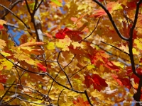 74658LeUsm - Walking with Beth at Scout Valley   Each New Day A Miracle  [  Understanding the Bible   |   Poetry   |   Story  ]- by Pete Rhebergen